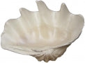 Small Fiberglass Gigis Clam - 27 x 18 x 6 inches Deep