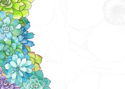 PK/50 - Flora Cards - Blank - Watercolour Flowers