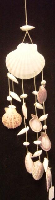 ENGLISH SCALLOP / PECTEN SHELL CHIME  - SC012