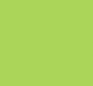 TISSUE PAPER 20 x 30 - 480 SHEETS - BRIGHT LIME/APPLE GREEN