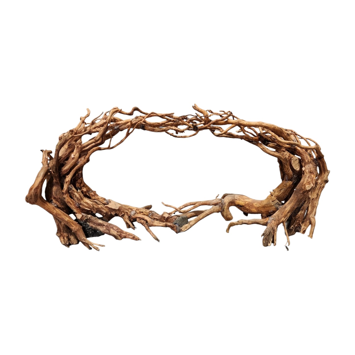 31.5 inch - Double Arch DRIFTWOOD - 80cm - Indonesia - NEW923 - #9D