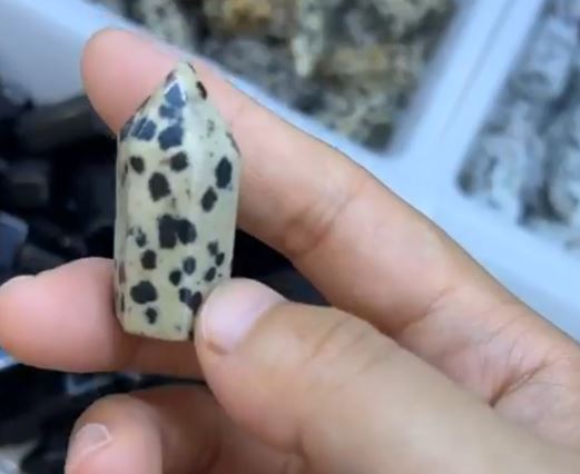 Dalmation Jasper - Points FAT à terminaison unique - 20 x 60 mm - Chine - NEW922