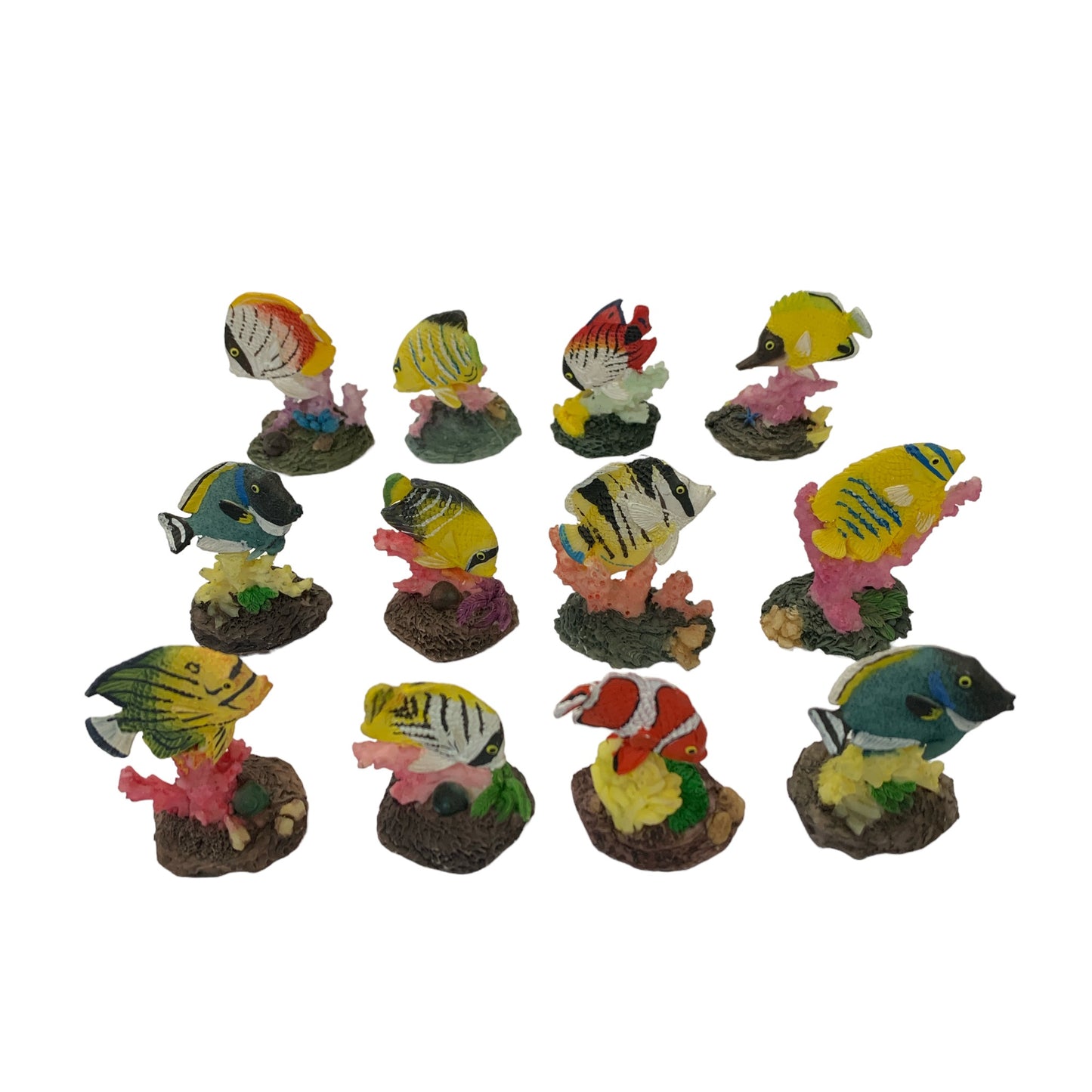 TROPICAL FISH 12/PC SET 2  inch.