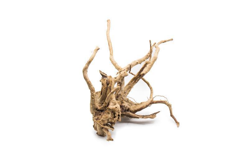 17.1 to 24.9 inch Spiderwood Driftwood - LARGE 45 to 60cm - NEW923