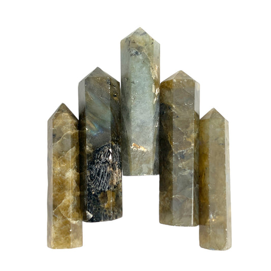 Labradorite - 25-35mm - Single Terminated Pencil Points - (retail purchase as singles, wholesale min order 5) - NEW1020 - India