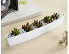 White Plant Pot Boat Tray