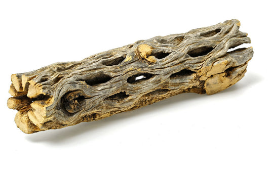 Natural CHOLLA Wood - 25.4cm - 10 inch long - NEW421