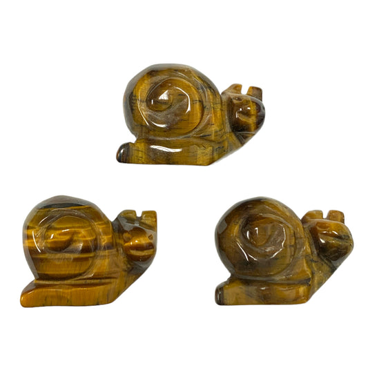 SNAIL - Tiger Eye - Baby - China - NEW1122