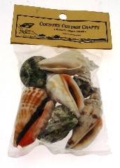 DELUXE SEA SHELLS 1 - 2 inch - 4oz BAG W/HEADER