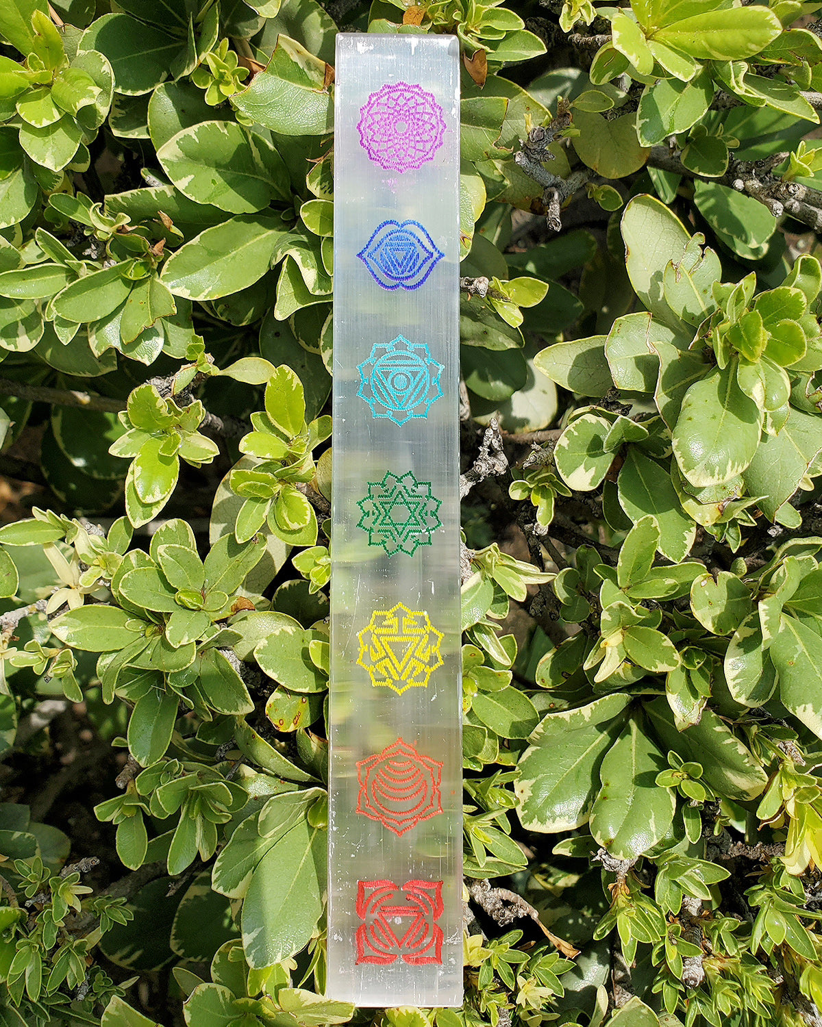 Selenite 7 Chakra Colorful Wand 6 - 7 inch Long - Flat (2 per pack) - NEW1220
