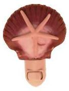 BROWN MEXICAN FLAT SCALLOP NIGHTLIGHT