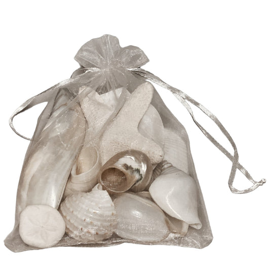 BAG OF WHITE SEASHELLS in ORGANZA Bag - 4x6 inch - NEW324