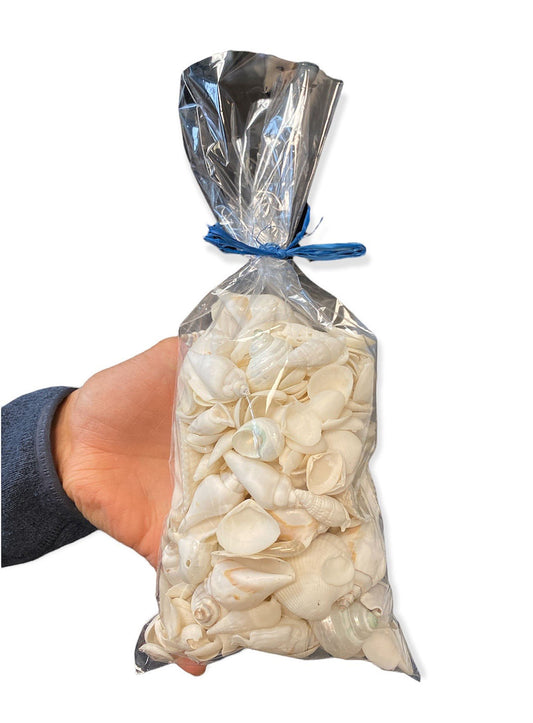 WHITE BAG-O-SHELLS - 600 grams - NET BAGS