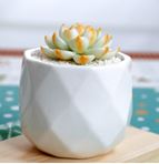 White Plant Pot Diamante Pattern Size: 9 x 9 x 7.8 cm