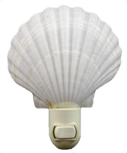 ENGLISH WHITE SCALLOP NIGHTLIGHT with White Fixture