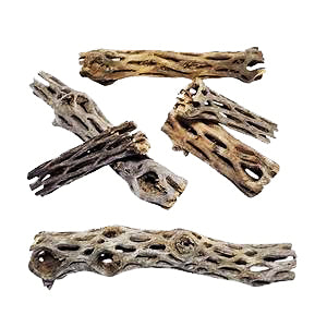 Natural CHOLLA Wood - 10cm - 4 inch long - NEW421
