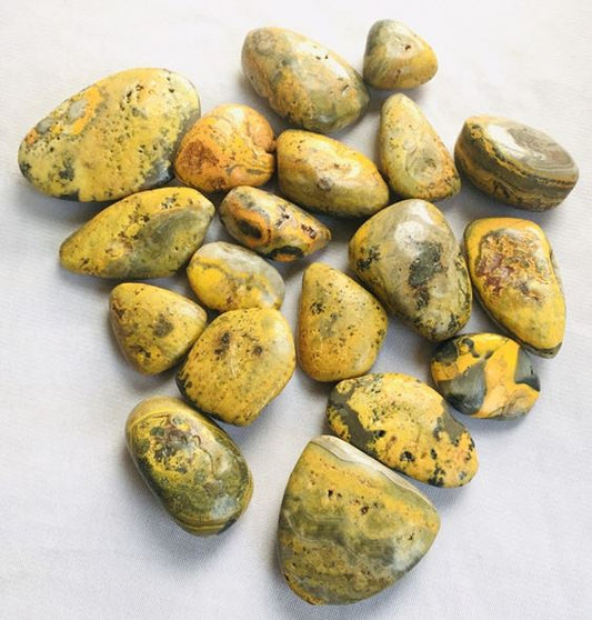 BUMBLE BEE Rounded Tumbled Stones - 25 - 30 mm - 1 lb. - China