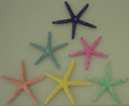 Assorted Pastel Starfish - Linckia Laevigata - 2 - 3 Inches