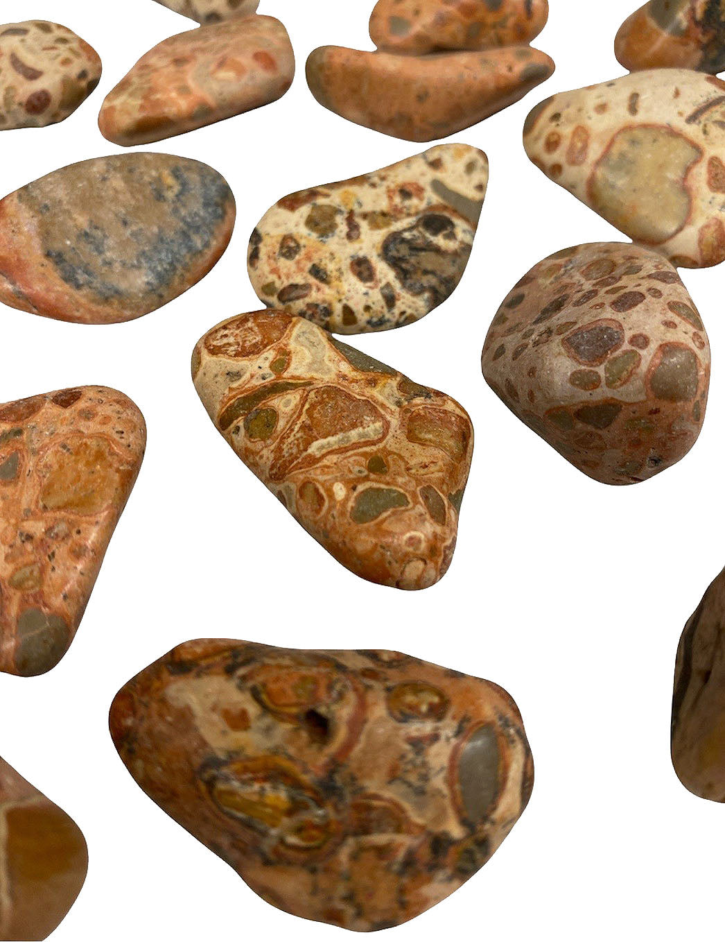 Leopardite - Oncolite Tumbled Stones - Medium 30 - 40mm - 1 LB - Q1 1a Brazil - Leopard Skin Jasper facilite la prise de responsabilité en aidant à la visualisation créative. Comme tous les jaspes, c'est aussi une pierre protectrice