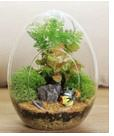 Blown Glass Egg Shape Terrarium 15 x 17 cm