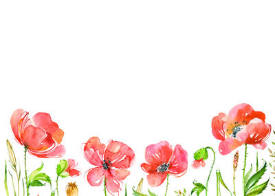 PK/50 - Flora Cards - Blank - Watercolour Flowers