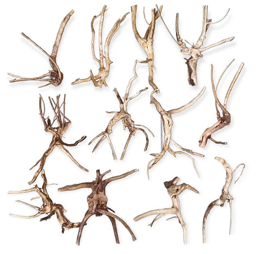 1 lb. SPIDERWOOD DRIFTWOOD - 15 cm - 6 inch + Assorted