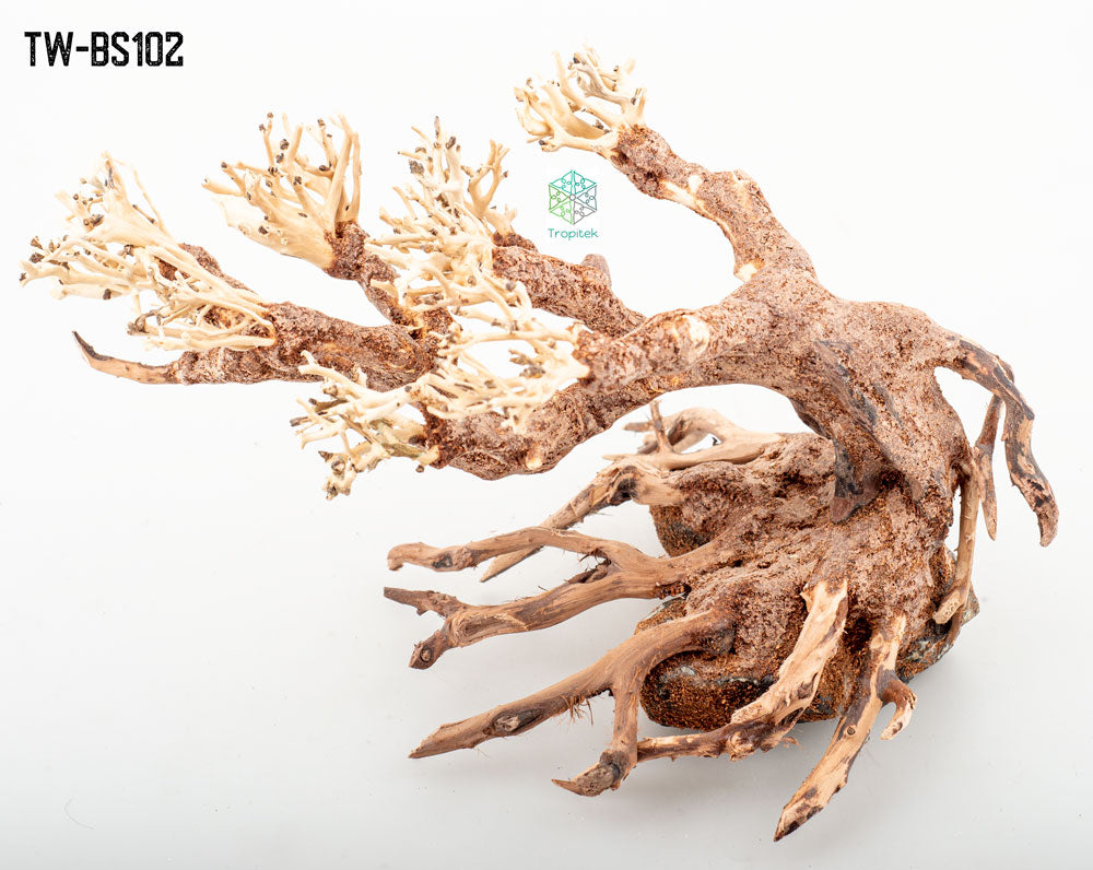 BONSAI DRIFTWOOD 20x30x18 cm - ARTOCARPUS HETEROPHYLLUS