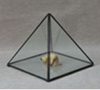 Terrarium en verre triangle 8,5 x 8,5 x 8,5 cm / 3,3 pouces